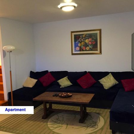 Le Green Chalet Villard-sur-Boege Esterno foto