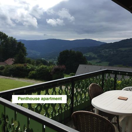 Le Green Chalet Villard-sur-Boege Esterno foto