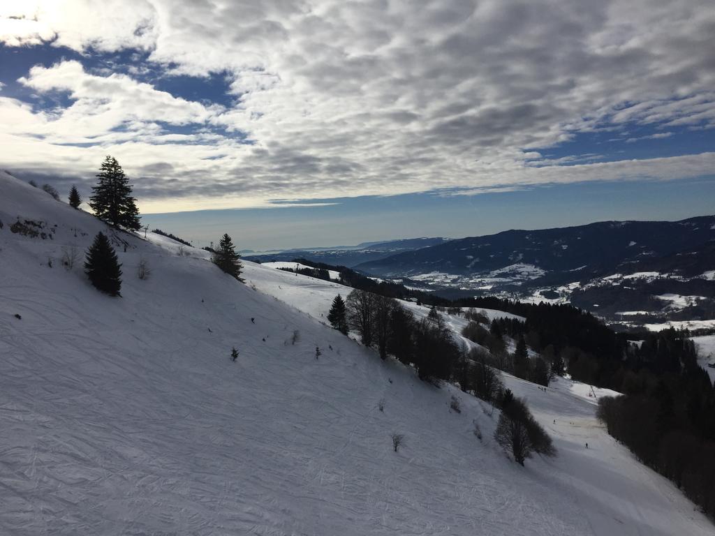 Le Green Chalet Villard-sur-Boege Esterno foto