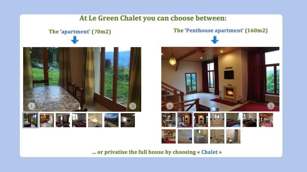 Le Green Chalet Villard-sur-Boege Esterno foto
