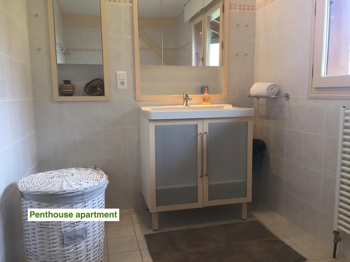 Le Green Chalet Villard-sur-Boege Esterno foto