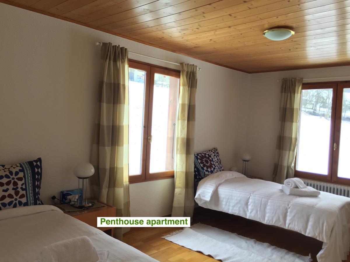 Le Green Chalet Villard-sur-Boege Esterno foto