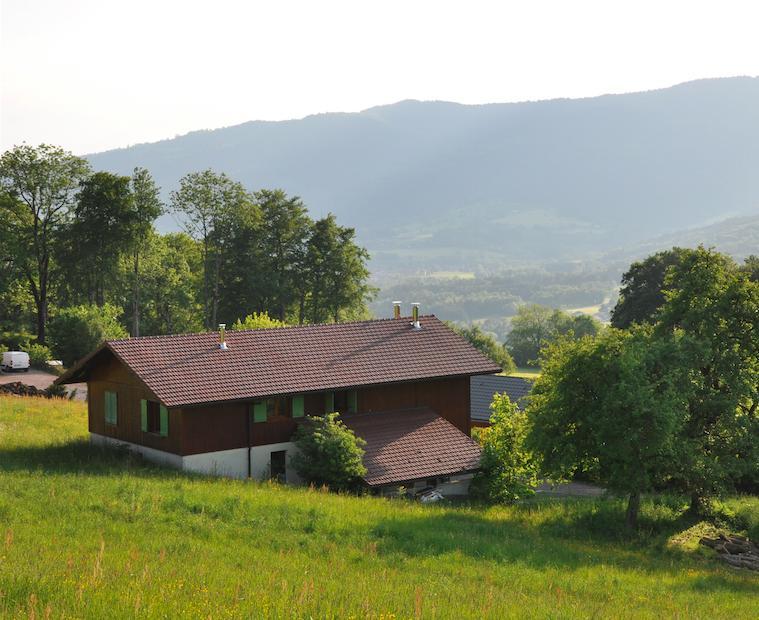 Le Green Chalet Villard-sur-Boege Esterno foto