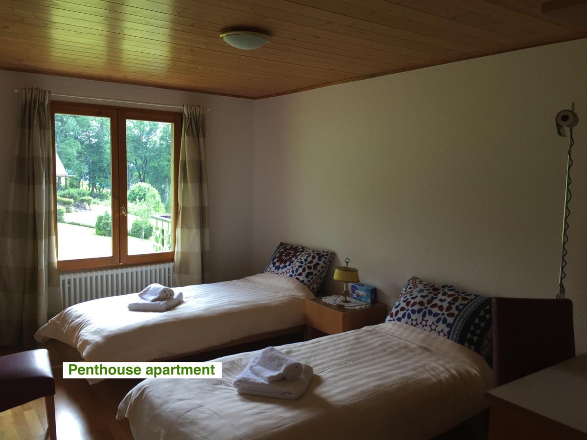Le Green Chalet Villard-sur-Boege Esterno foto