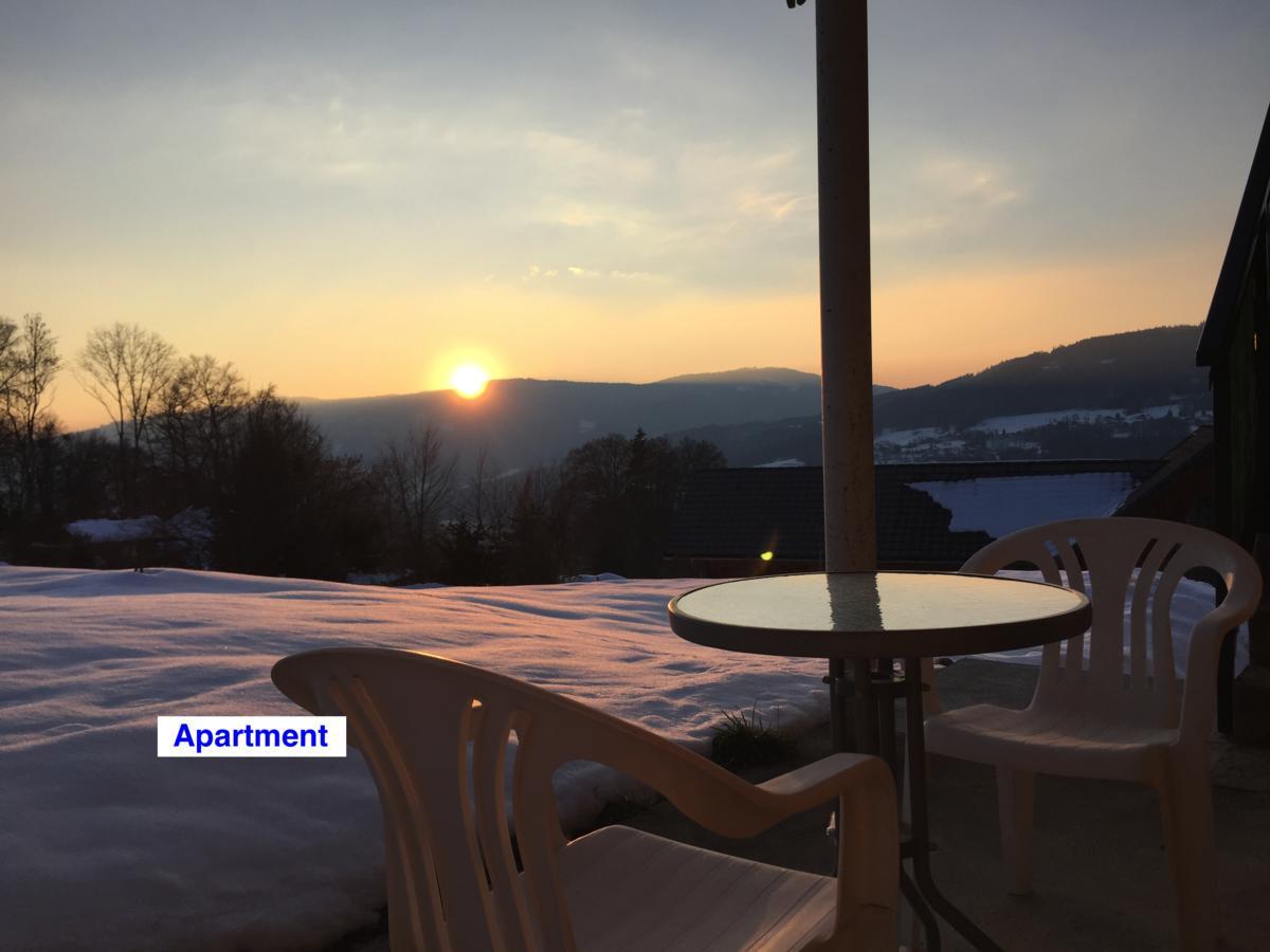 Le Green Chalet Villard-sur-Boege Esterno foto