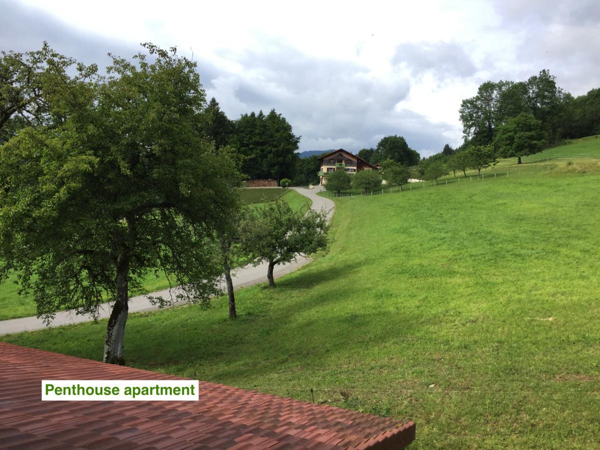 Le Green Chalet Villard-sur-Boege Esterno foto