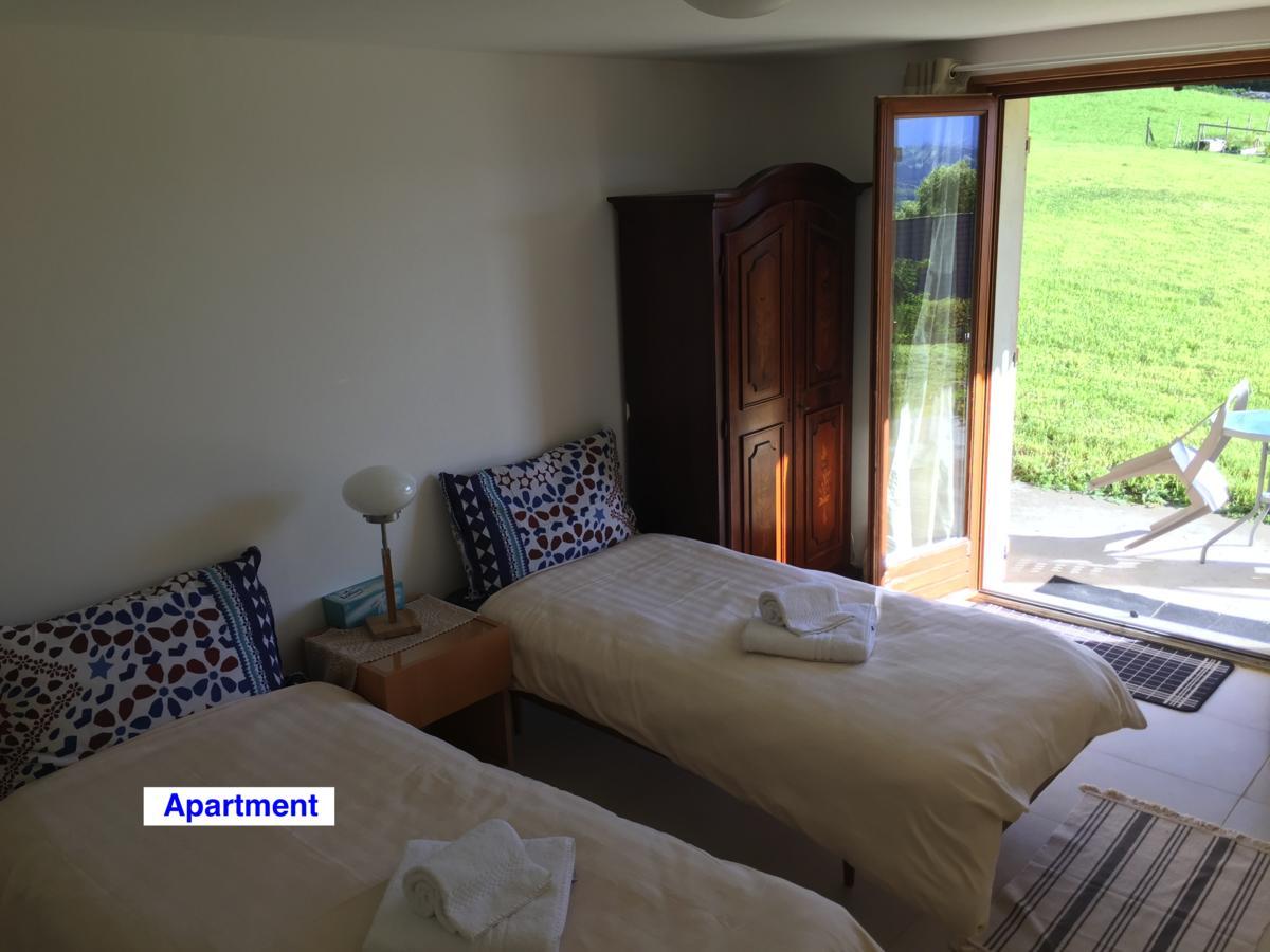 Le Green Chalet Villard-sur-Boege Esterno foto