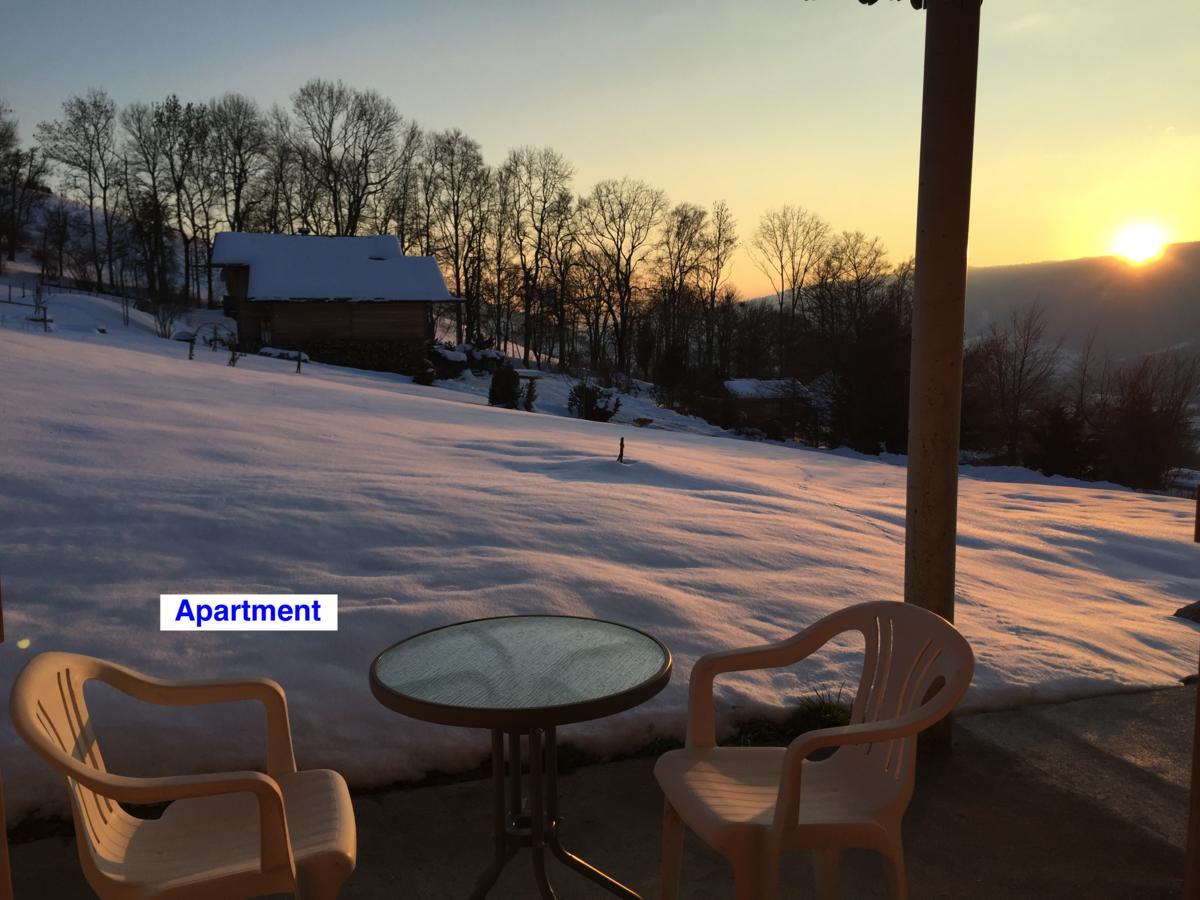 Le Green Chalet Villard-sur-Boege Esterno foto